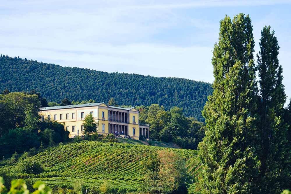 Pfalz-Dorfhaus Burrweiler Buitenkant foto